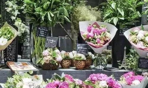 娱乐吃瓜酱花店,吃瓜酱花店背后的秘密花园